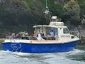 Guided cruise around Ramsey Island onboard 'Gower Ranger'